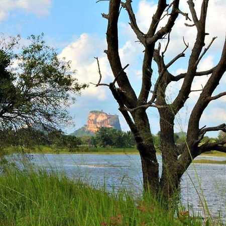 Rho Sigiriya Lake Edge Retreat Kibissa Exterior photo