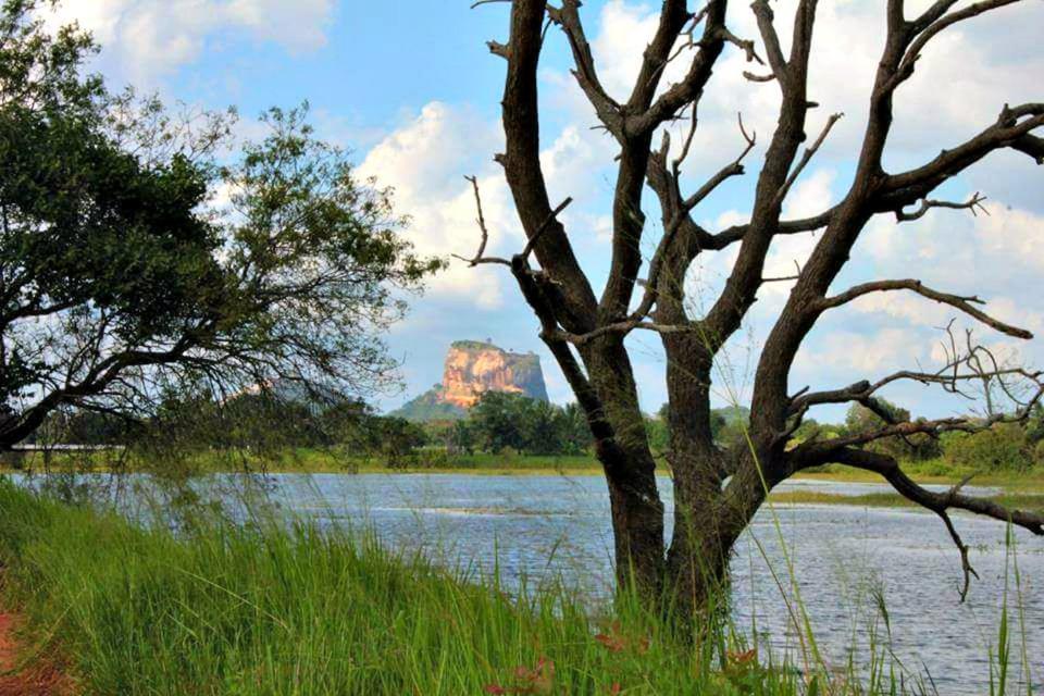 Rho Sigiriya Lake Edge Retreat Kibissa Exterior photo